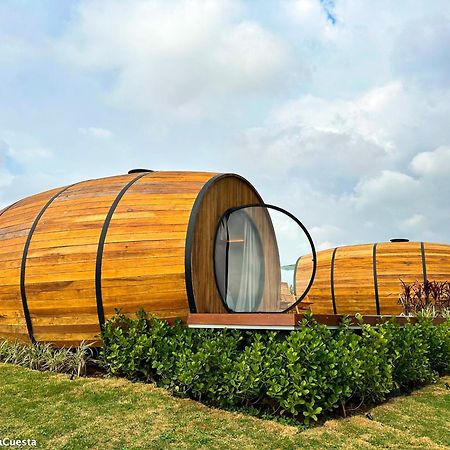 Villa Dejota Pardinho Екстериор снимка